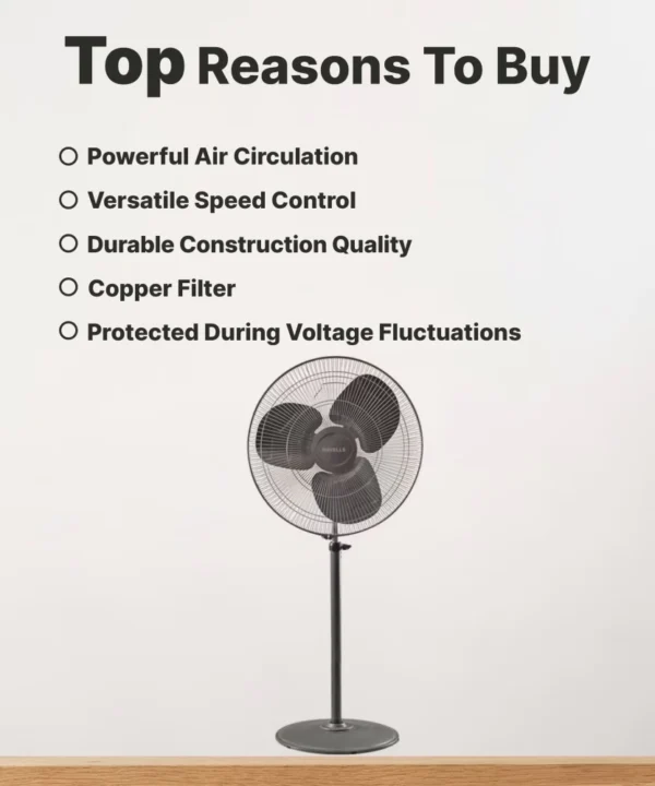 HAVELLS Windstorm Pro 500 mm 3 Blade Pedestal Fan  (Charcoal Grey | Pack of 1)